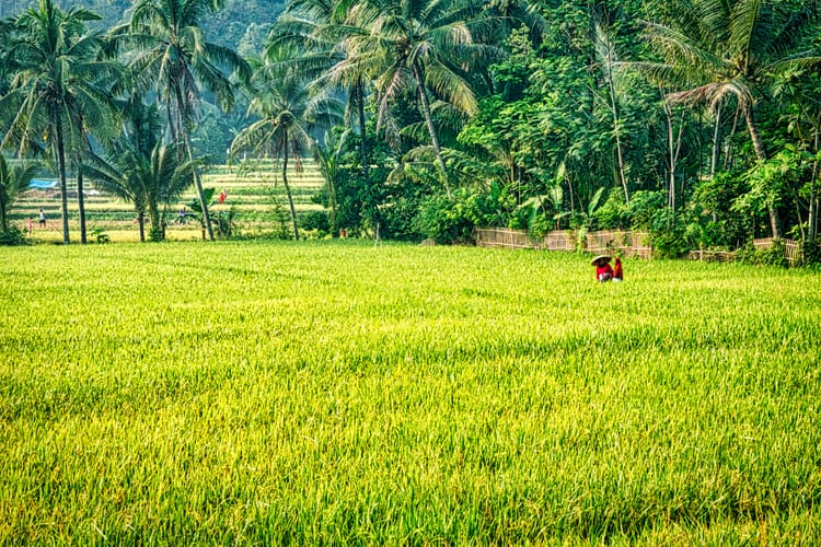 Indonesia & Thailand: Late June to late September 2025 period