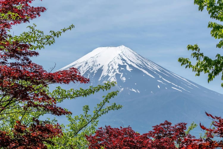 Japan: Autumn 2025